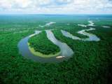 Peru’s Amazon to be crowned as natural wonder today